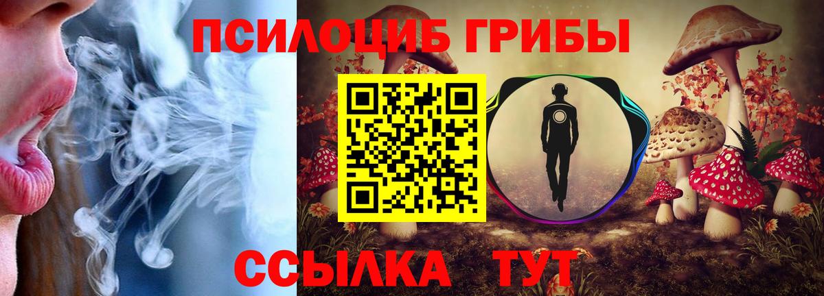 Псилоцибиновые грибы GOLDEN TEACHER  Псилоцибиновые грибы Psilocybine cubensis  Вход с VPN  Новосибирск 